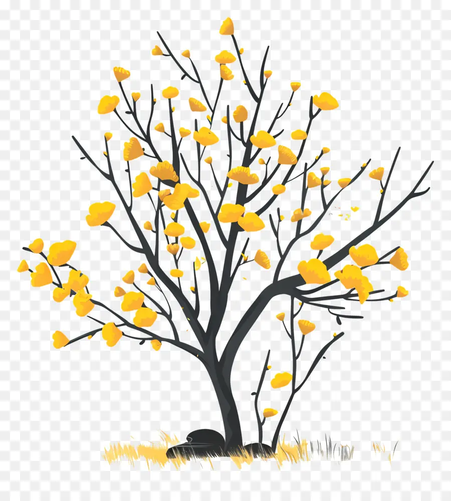 árbol De Ginkgo，Árbol PNG