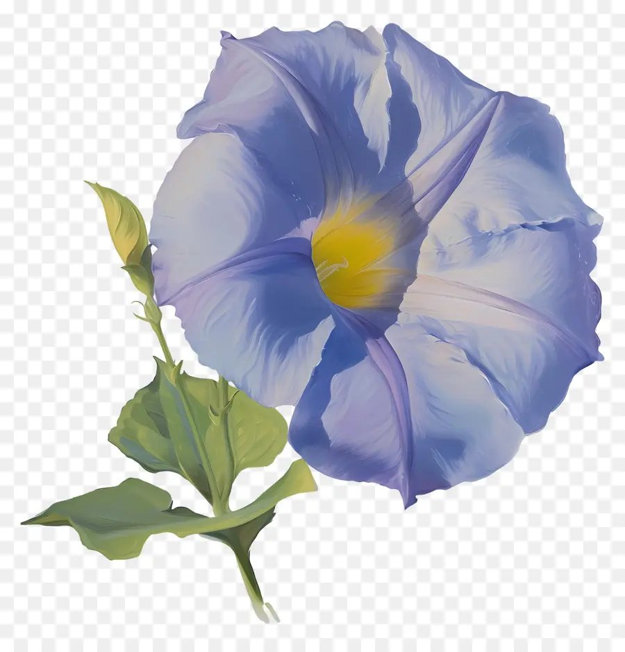 Flor Azul，Centro Amarillo PNG