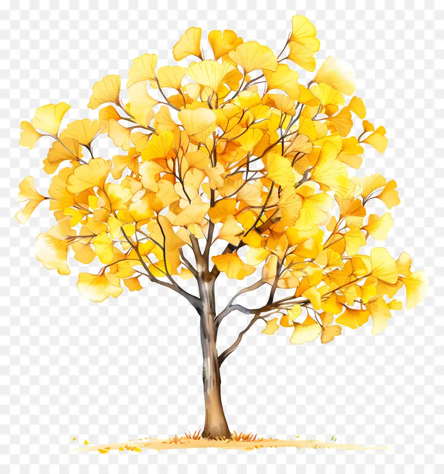 árbol De Ginkgo，Árbol PNG