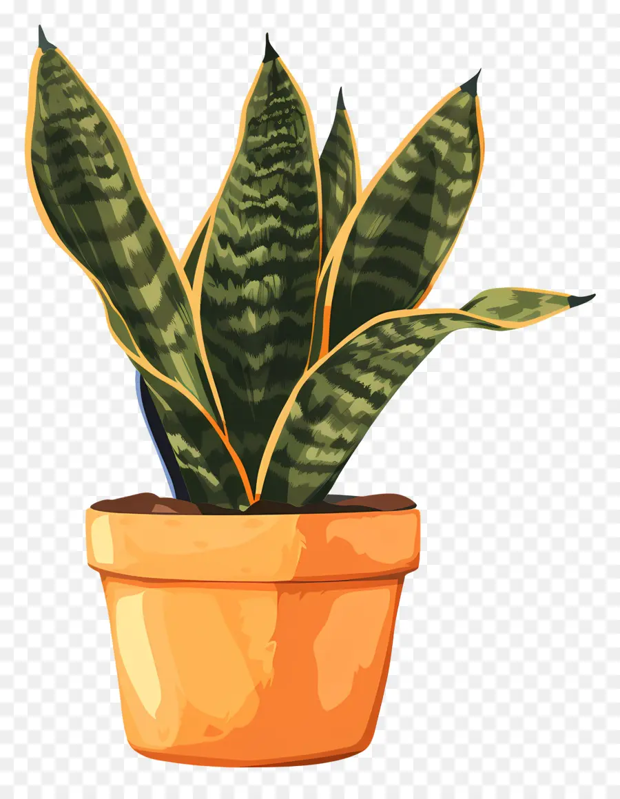 Planta De Sansevieria，La Planta De Serpiente PNG