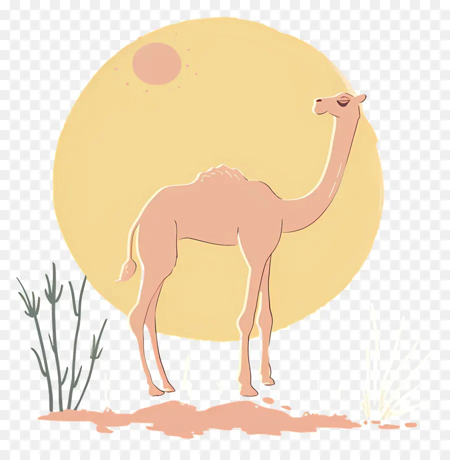 Camello Silueta，Camello PNG