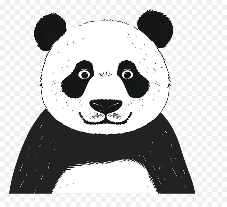 Panda，Oso Panda PNG