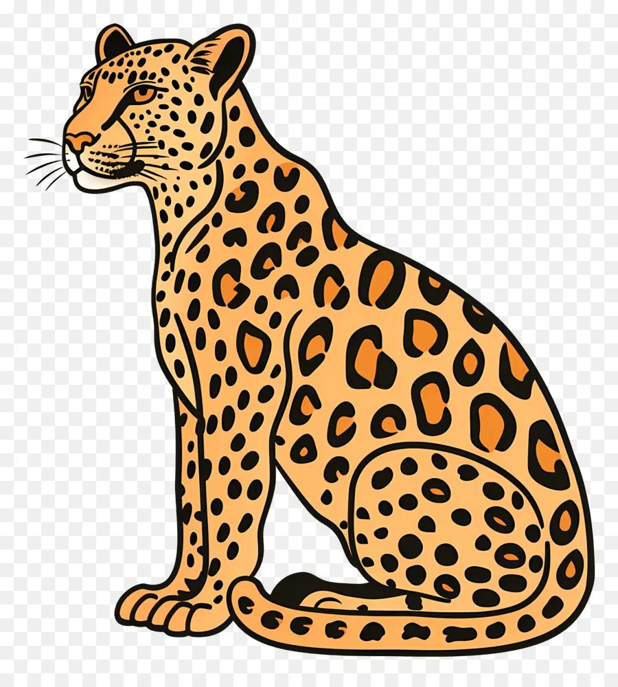 Leopardo，Sentado PNG