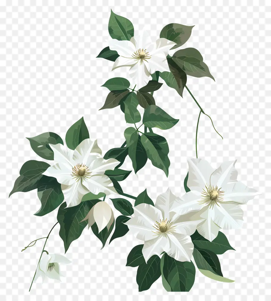 Vid，Flores Blancas PNG
