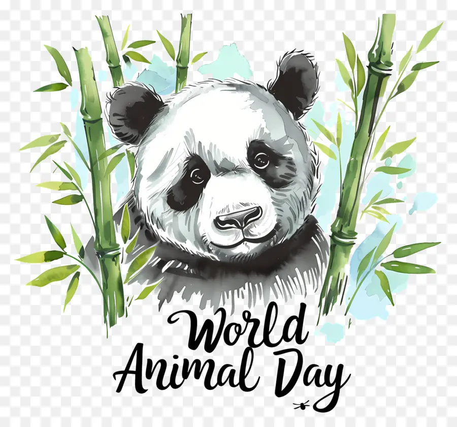 Día Mundial De Los Animales，Oso Panda PNG