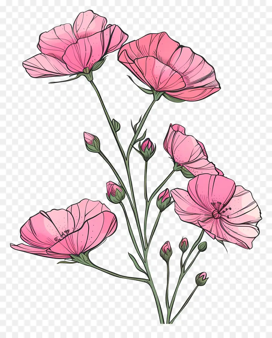 Flores De Color Rosa，Ramo PNG