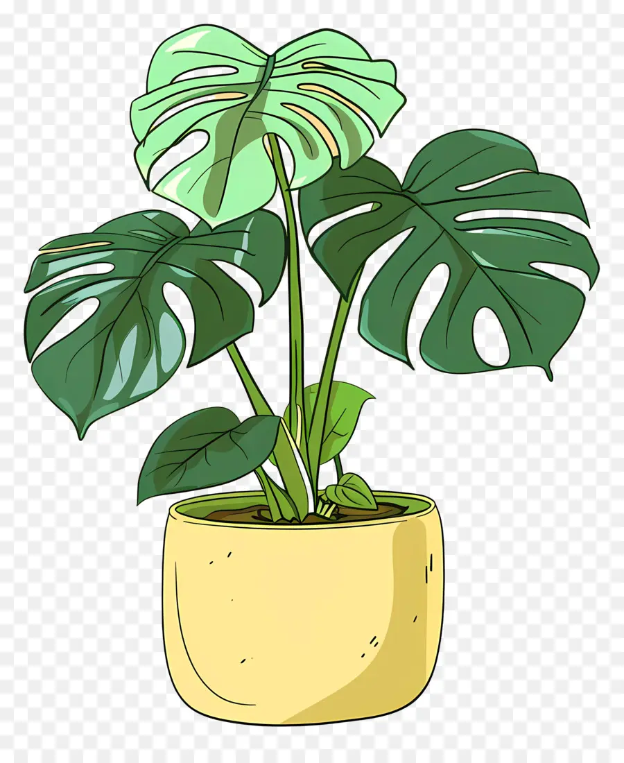 Monstera，Planta De Monstruos PNG