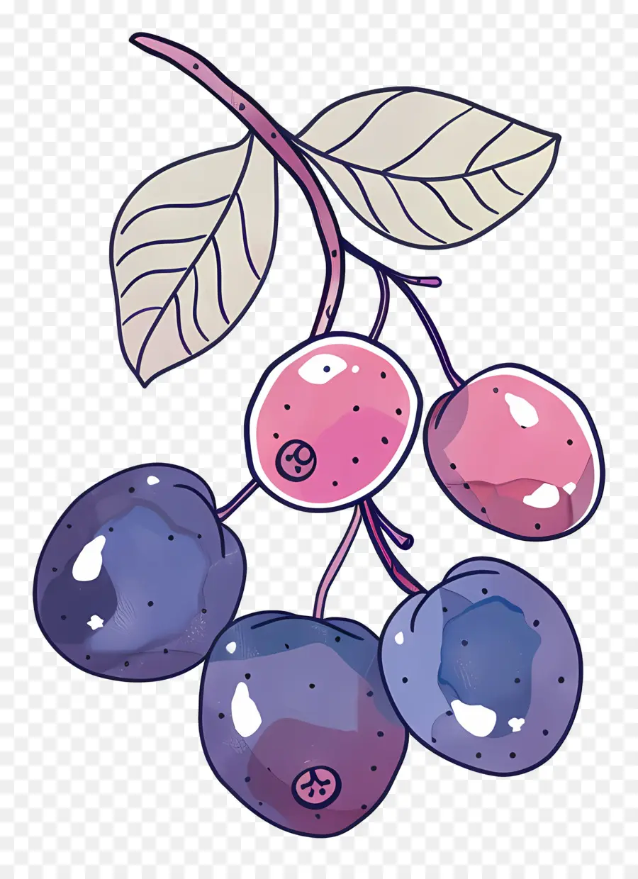 Berry，Extracto De Flores De Ciruelo PNG