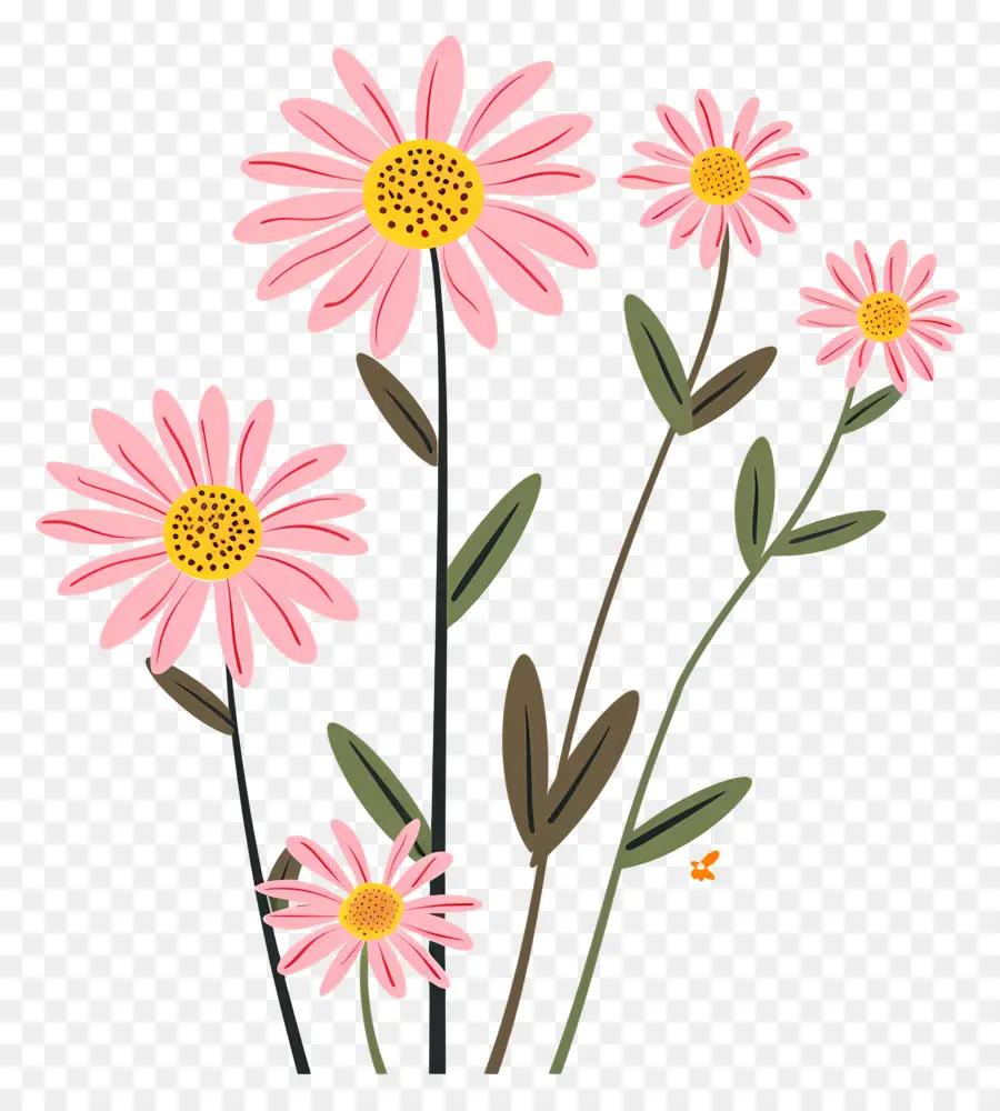 Daisy Pink Flowers，Margaritas Rosadas PNG