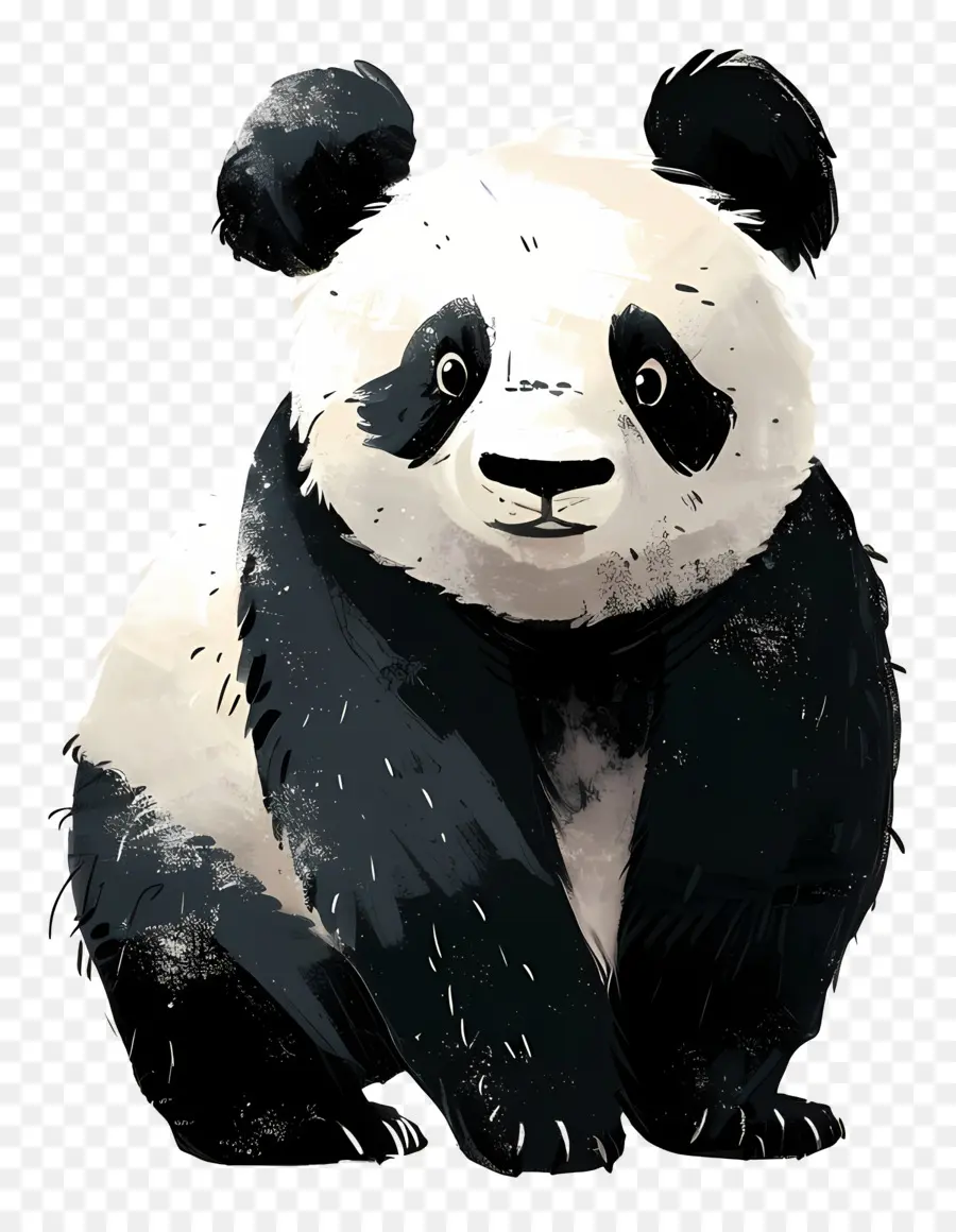 Panda，Oso Panda PNG