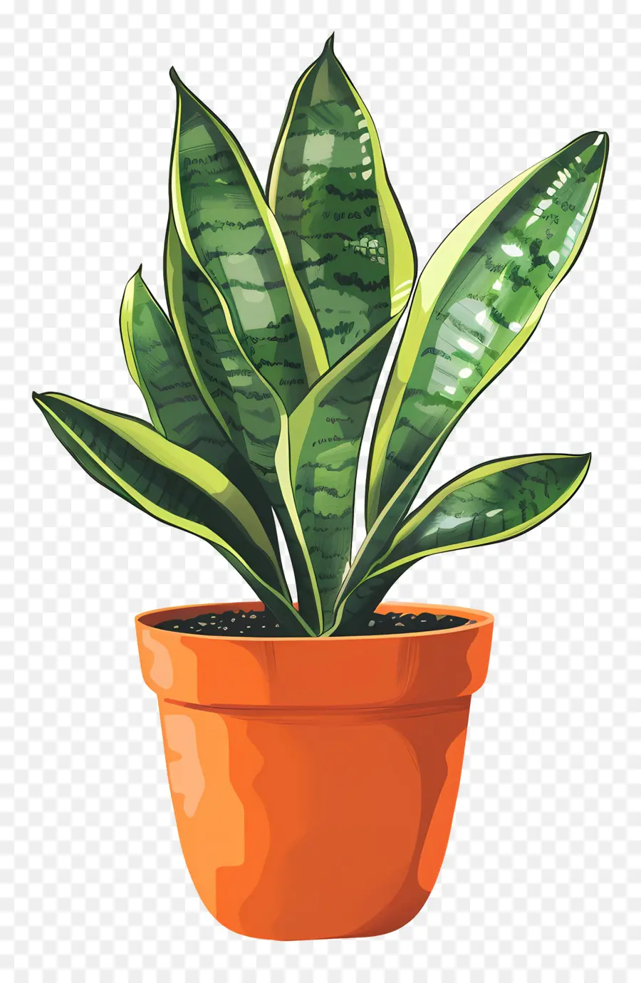 Planta De Sansevieria，Planta De Interior PNG