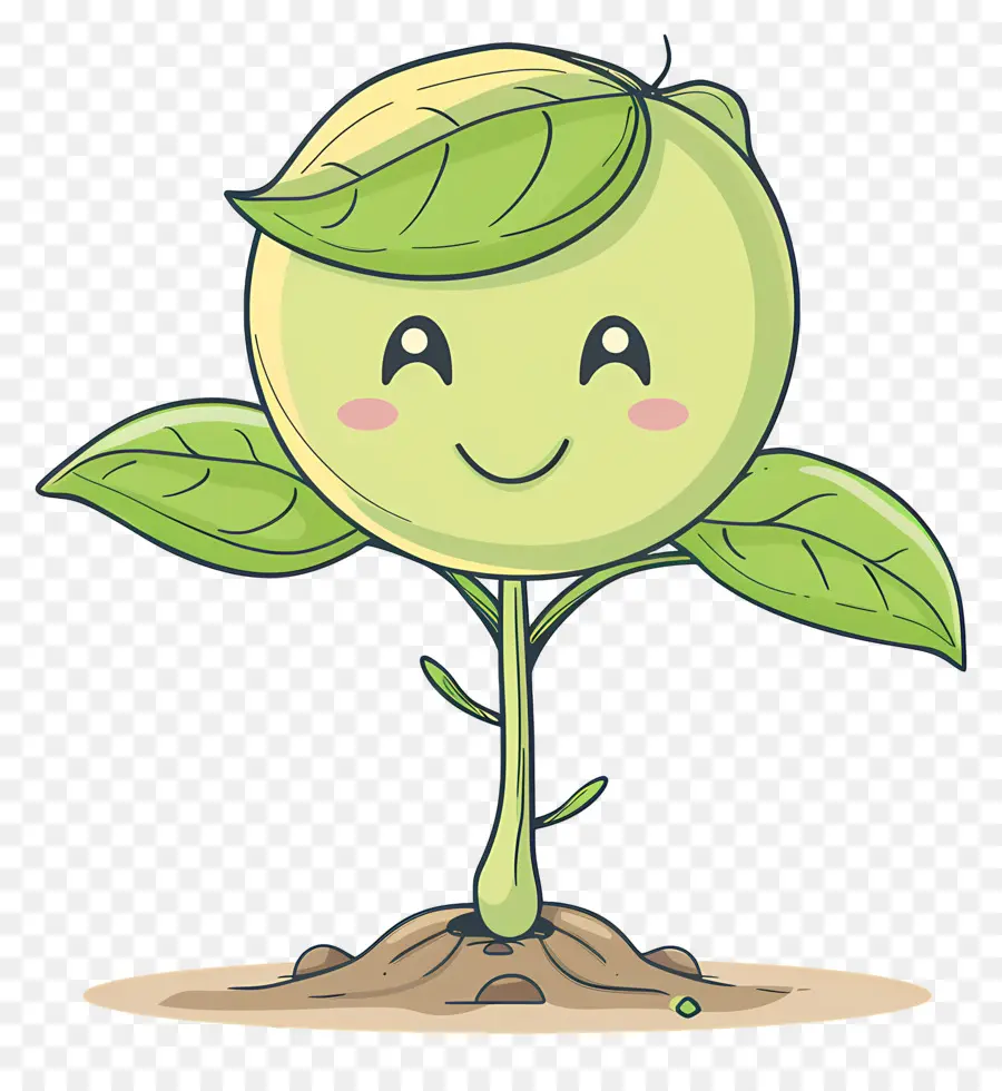 Brotar，Planta Linda PNG