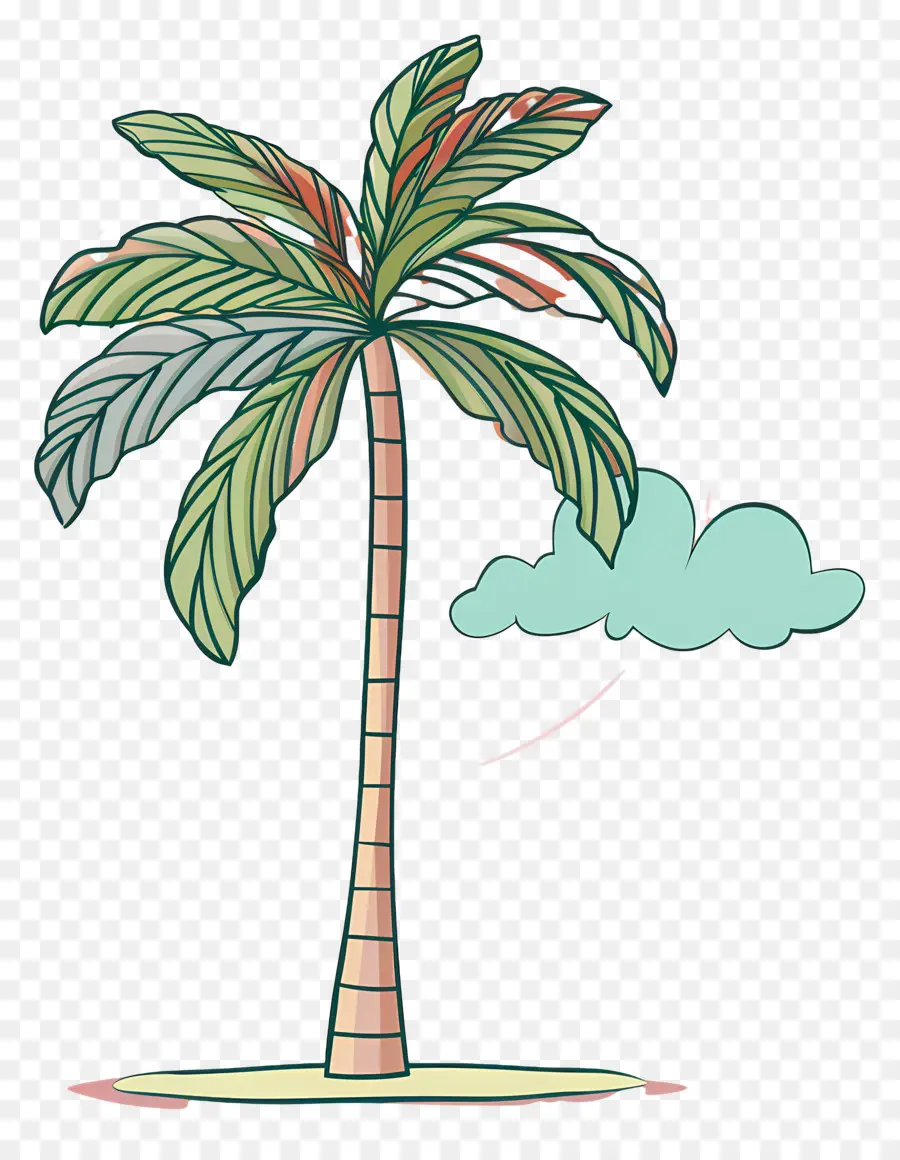 Palmera，La Nube PNG