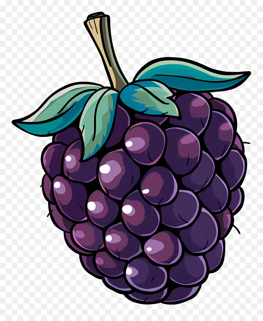 Berry，Blackberry PNG