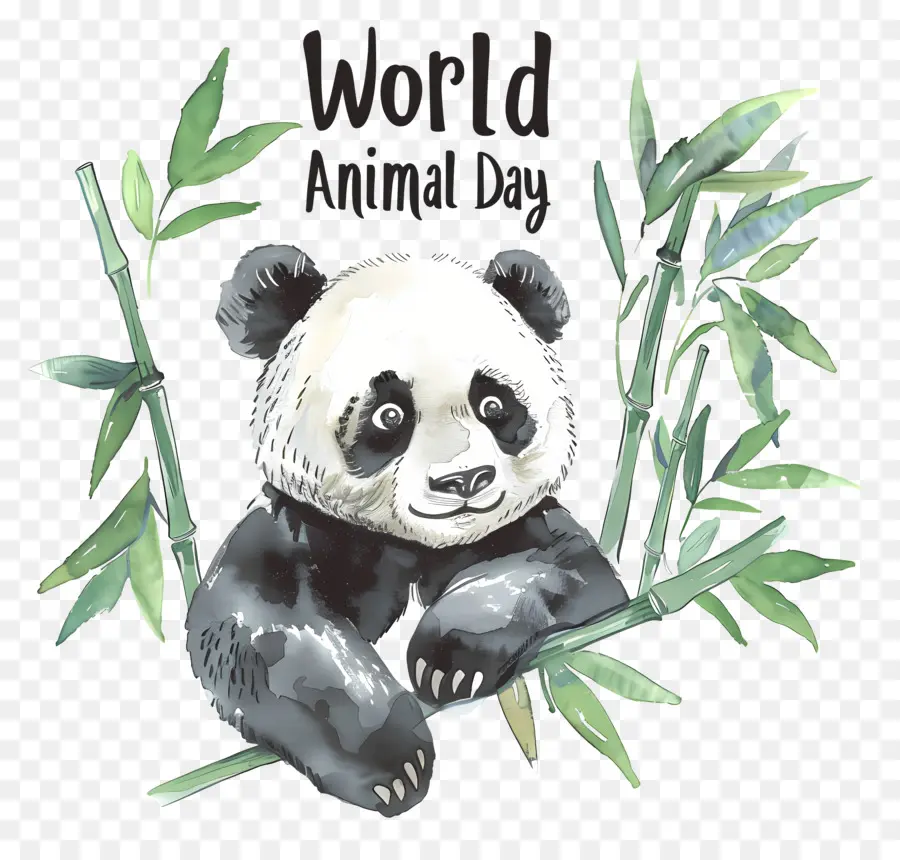 Día Mundial De Los Animales，Panda PNG