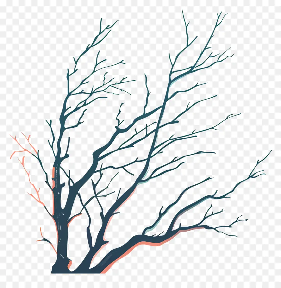 Ramas Desnudas，Árbol PNG