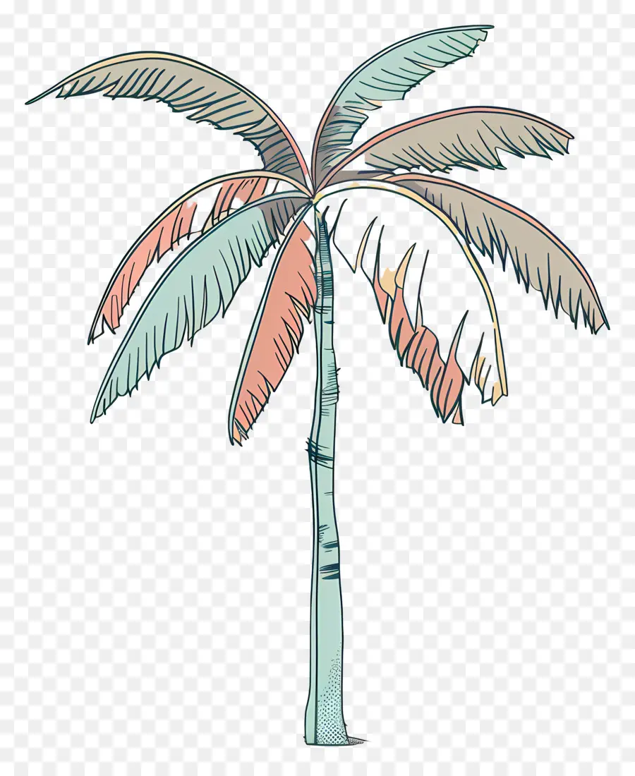 Palmera，Tropical PNG