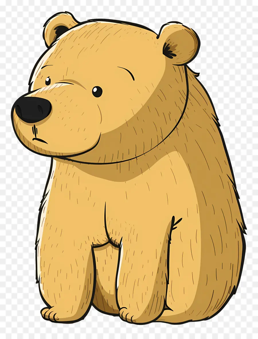 Oso，Cartoon Bear PNG