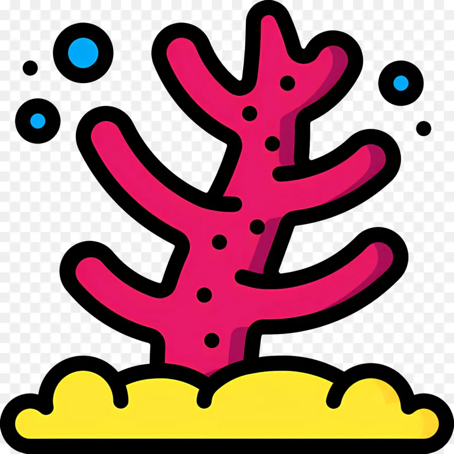 Los Arrecifes De Coral，Coral PNG