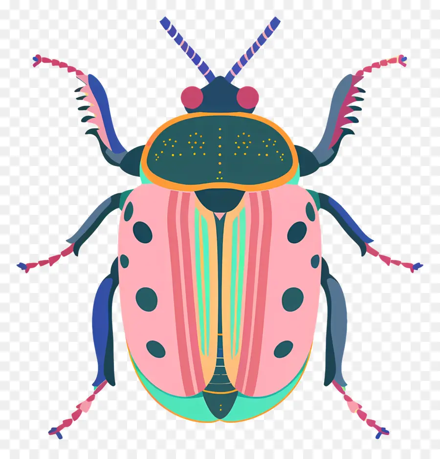Escarabajo，Insecto Colorido PNG