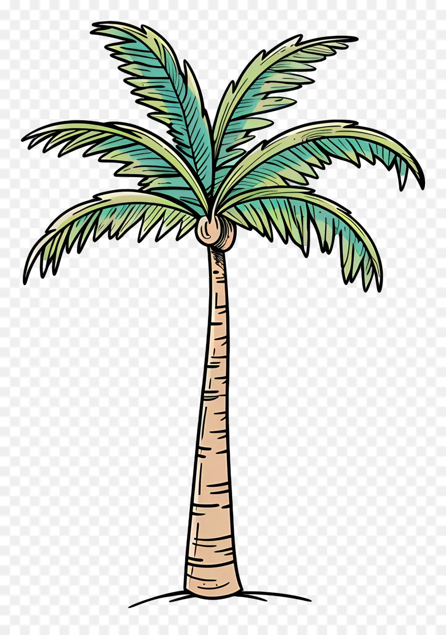 Palmera，La Paz PNG