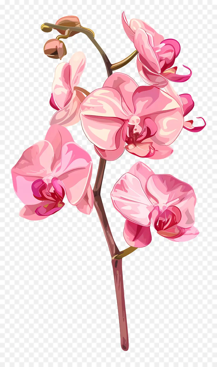 Flor De Orquídea Rosa，Orquídea PNG