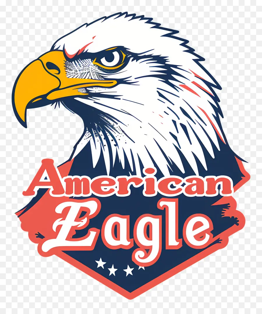 American Eagle Día，águila Calva PNG