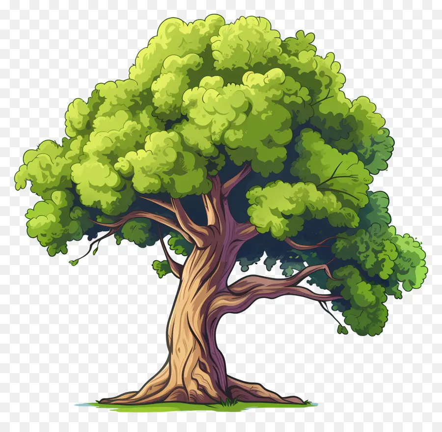 árbol Verde，Árbol PNG