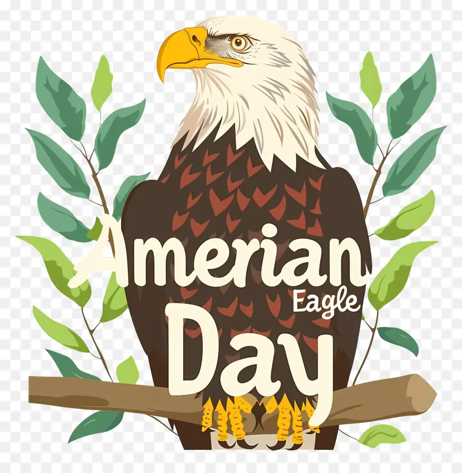 American Eagle Día，American Eagle PNG
