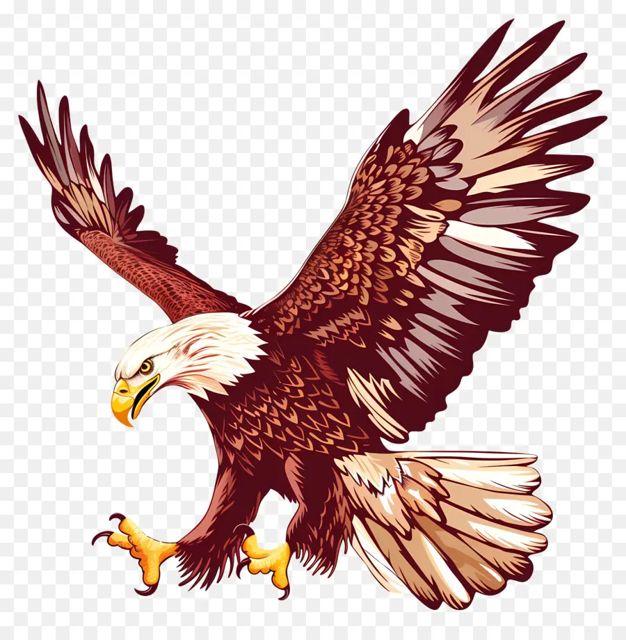 Día Del Águila Americana，Águila PNG