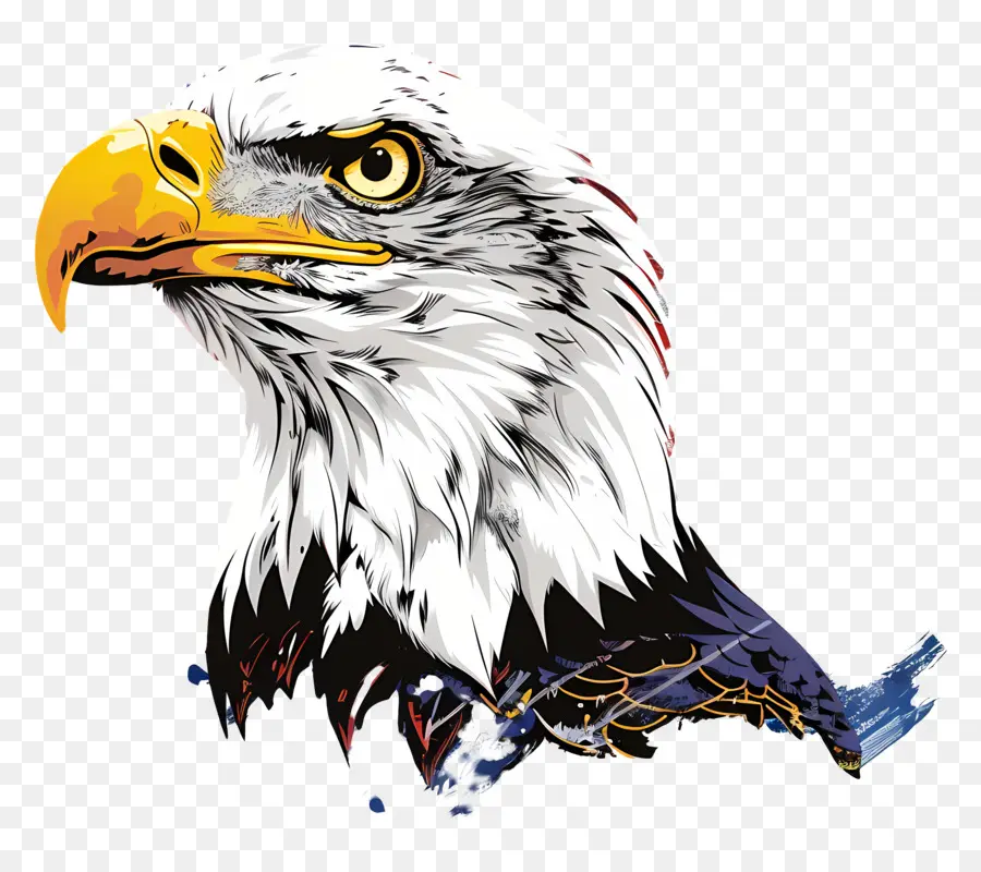 Día Del Águila Americana，águila Calva PNG