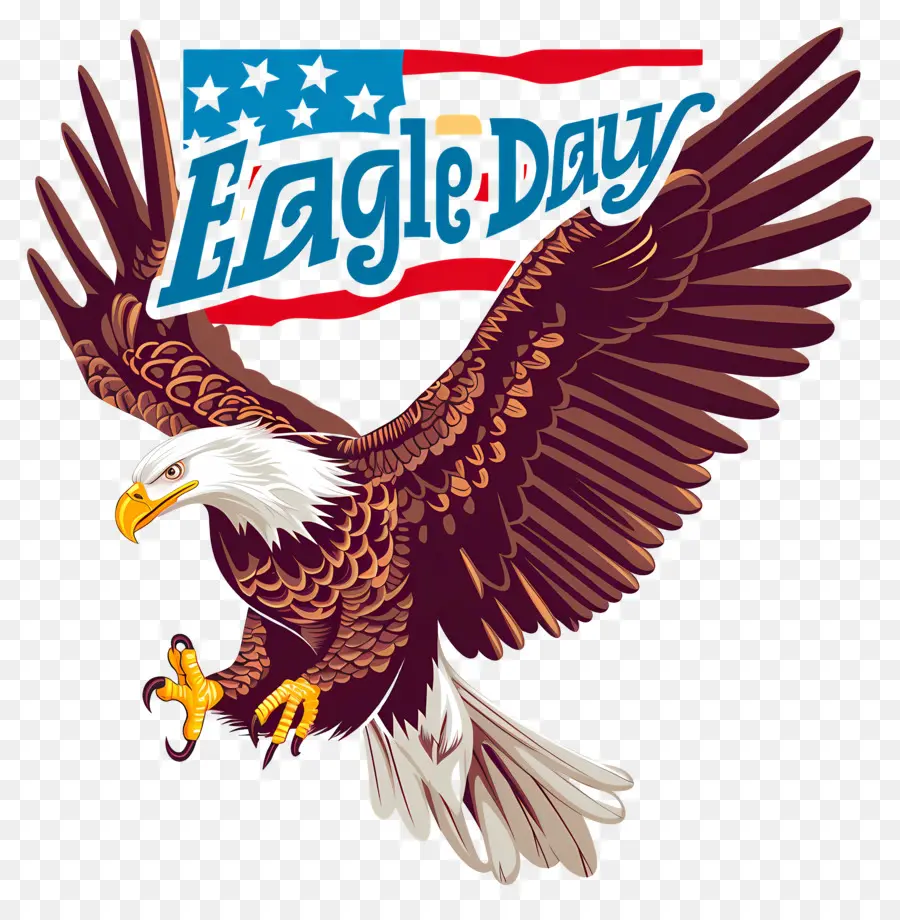 American Eagle Día，águila Calva PNG