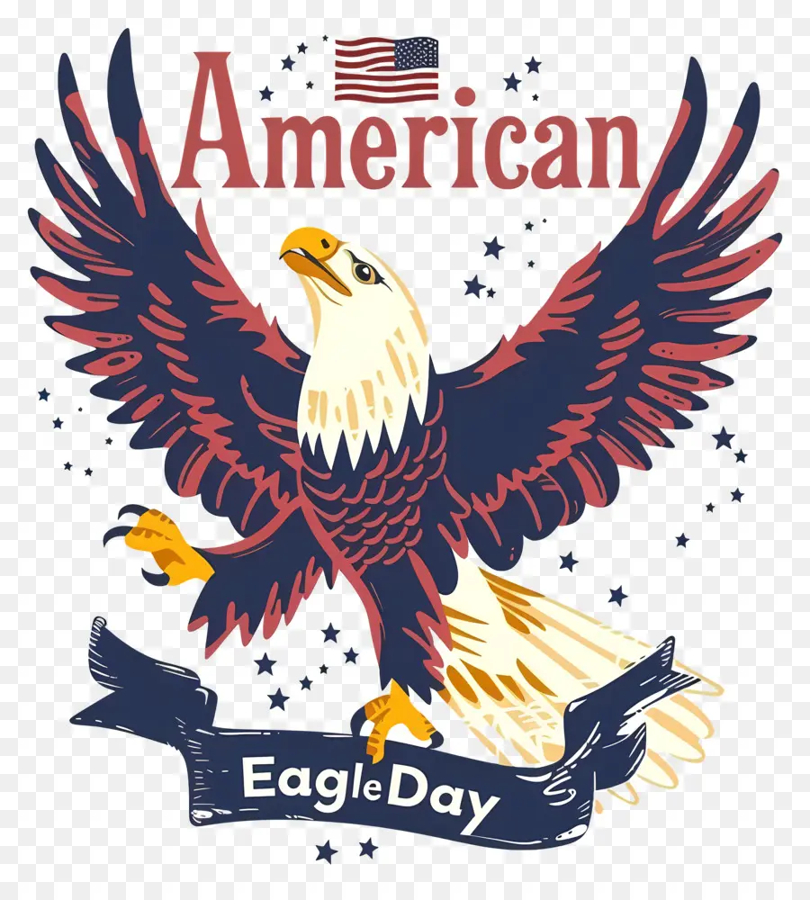 American Eagle Día，águila Calva PNG