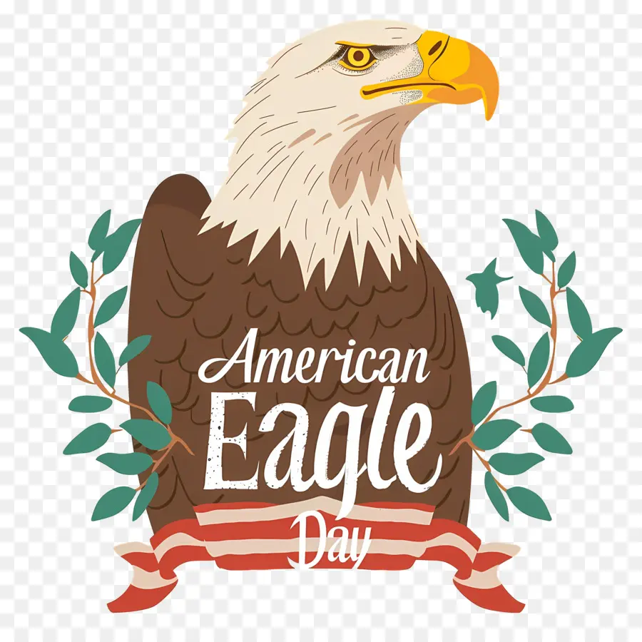 American Eagle Día，American Eagle PNG