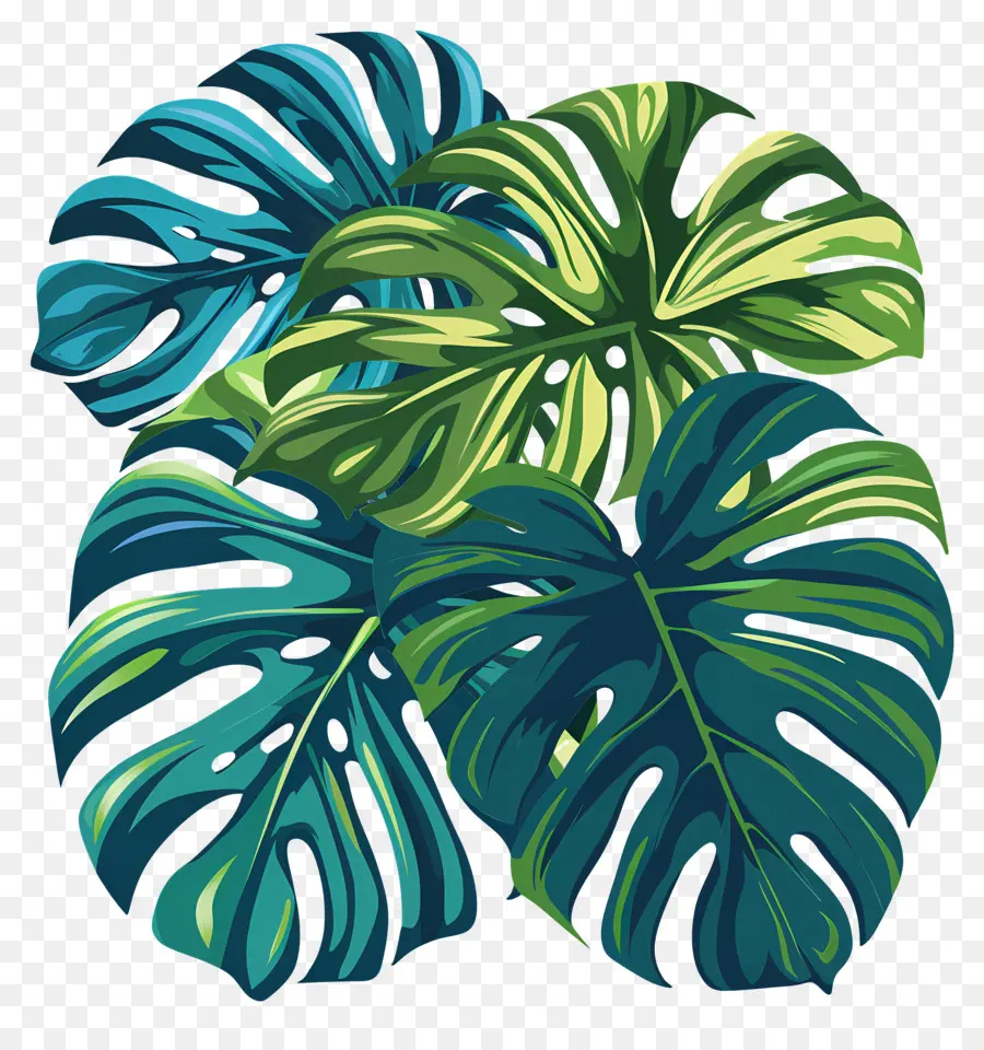 Hojas De Monstera，Hojas Verdes PNG