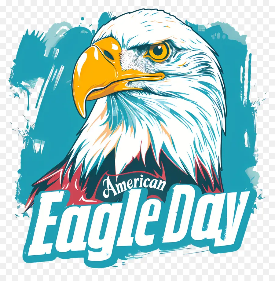 American Eagle Día，águila PNG