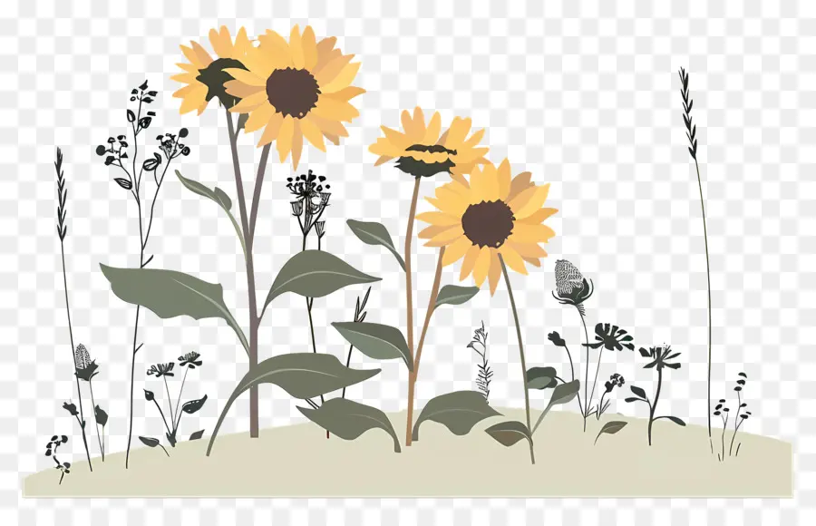 Paisaje De Girasoles，Girasoles PNG