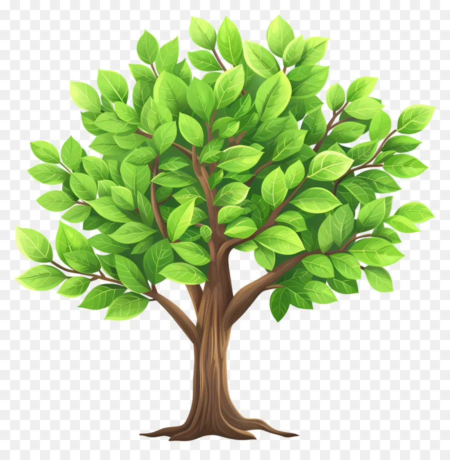 árbol Verde，Hojas PNG