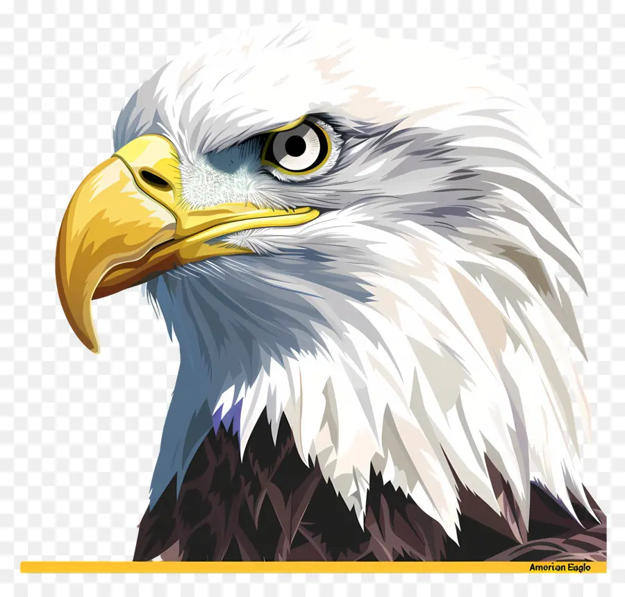 American Eagle Día，águila Calva PNG