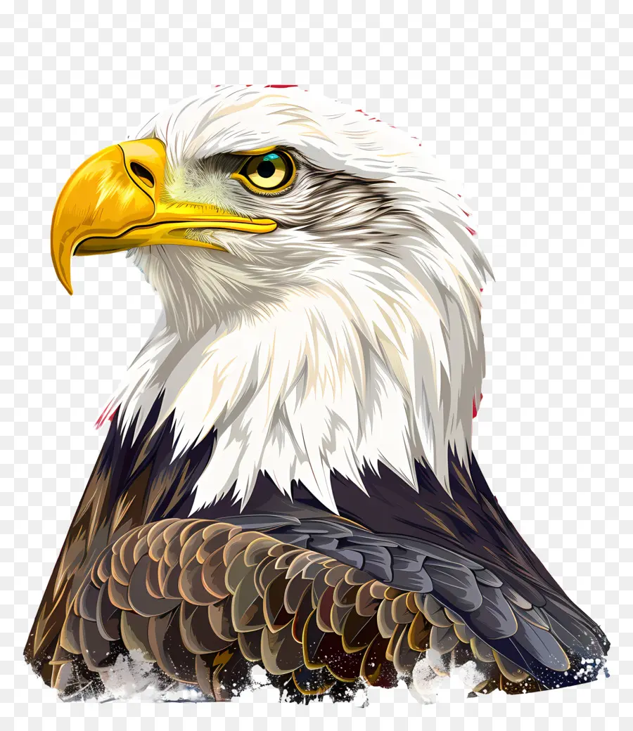 American Eagle Día，águila Calva PNG