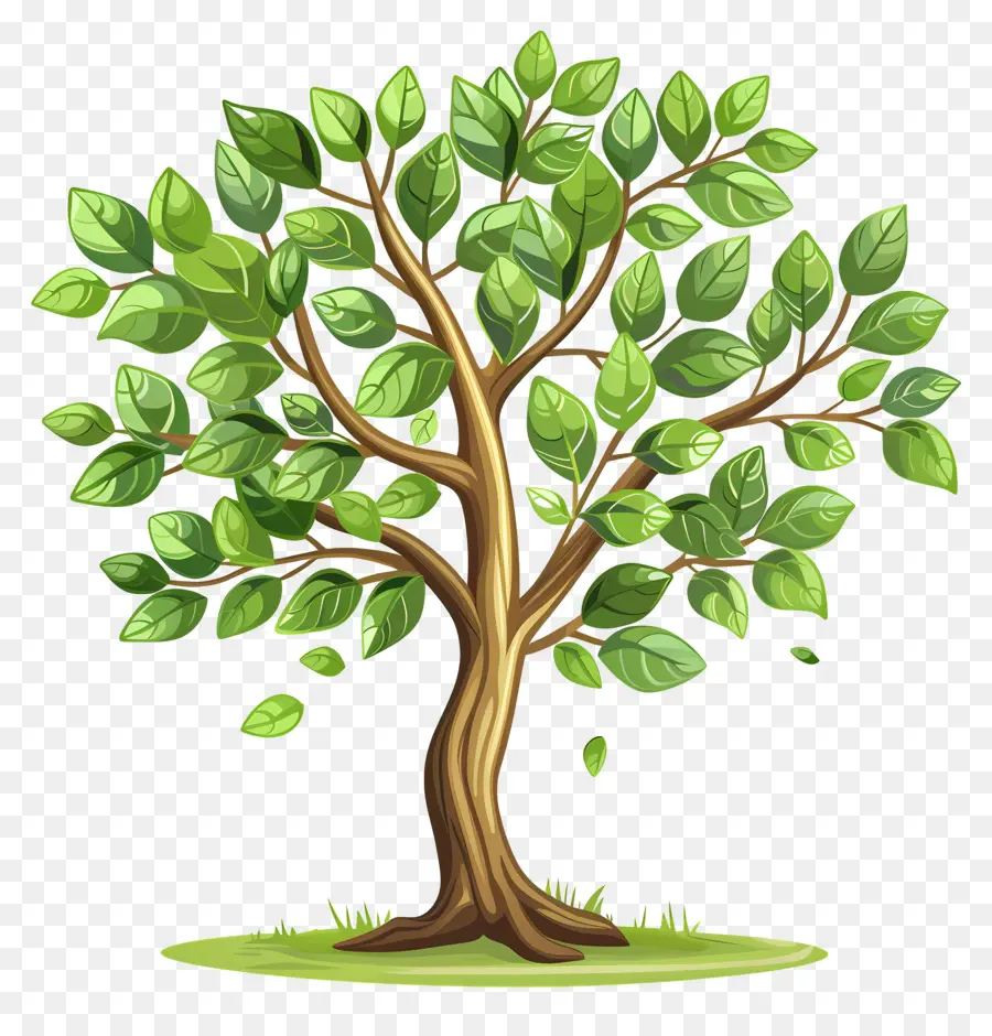 árbol Verde，Árbol Flotante PNG