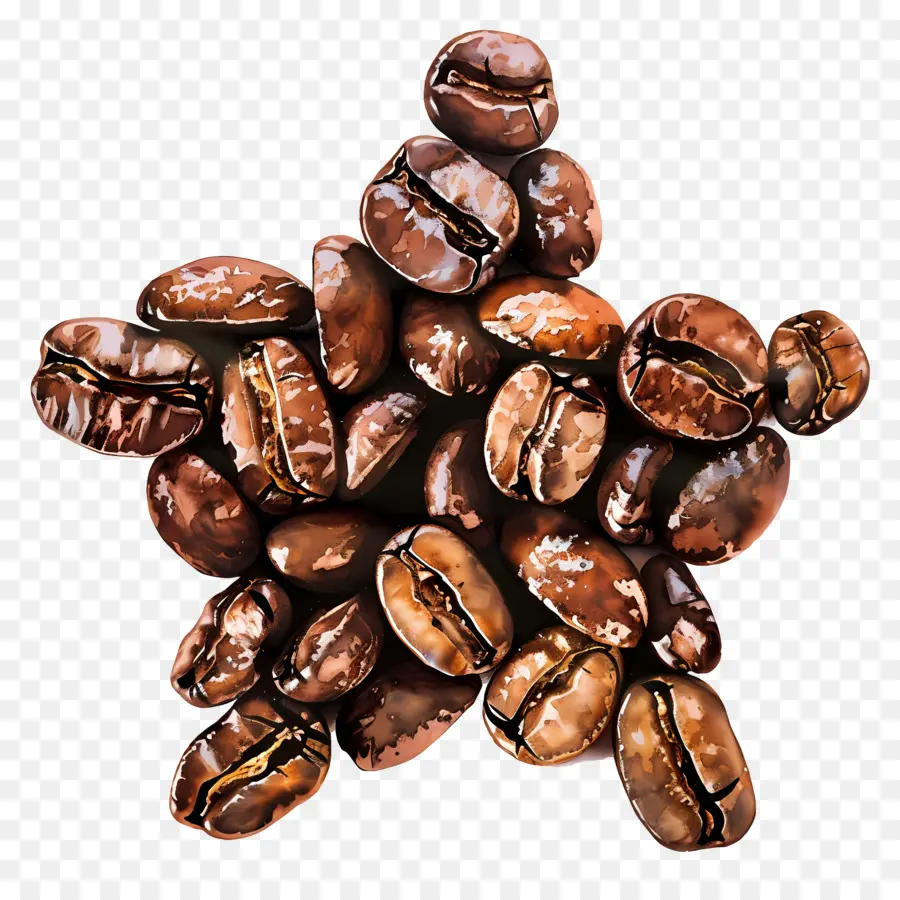 Los Granos De Café，Estrella PNG