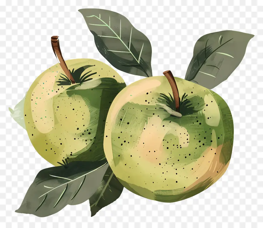 Apple，Manzanas Verdes PNG