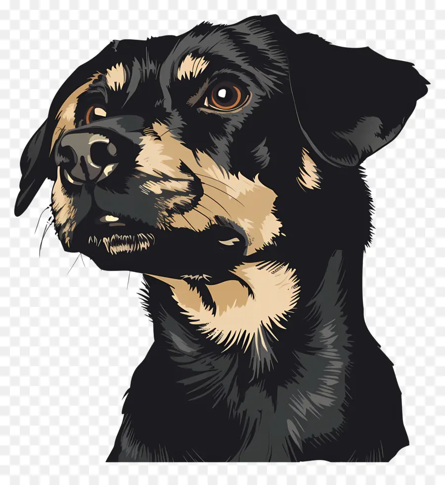 Perro，Perro Negro PNG
