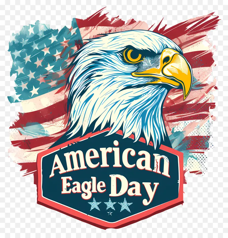 American Eagle Día，águila PNG