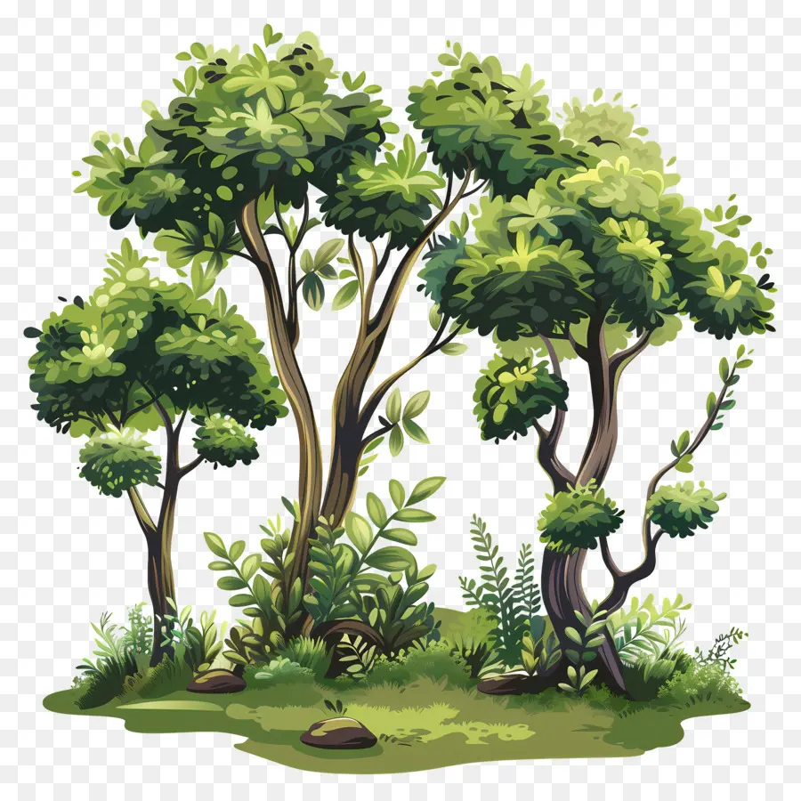 Los árboles De Los Bosques，Bosque PNG