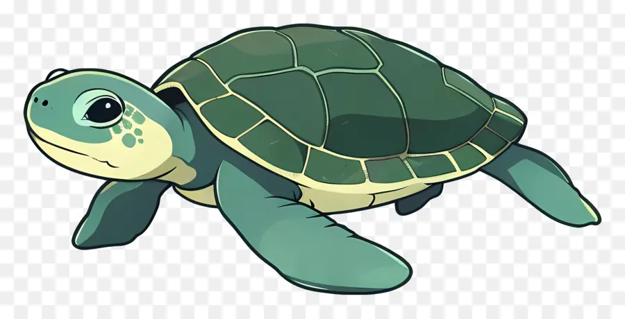 Tortuga De Dibujos Animados，Tortuga Azul PNG