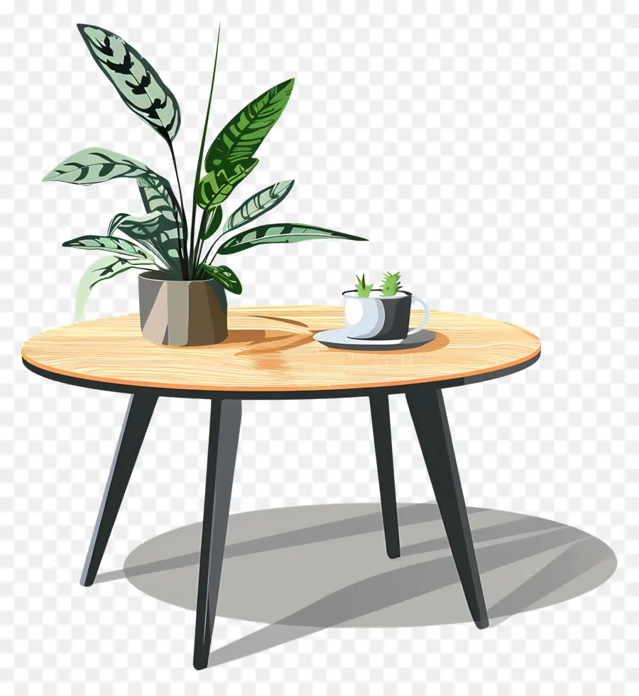 Ronda De La Mesa De Café，Planta En Maceta PNG