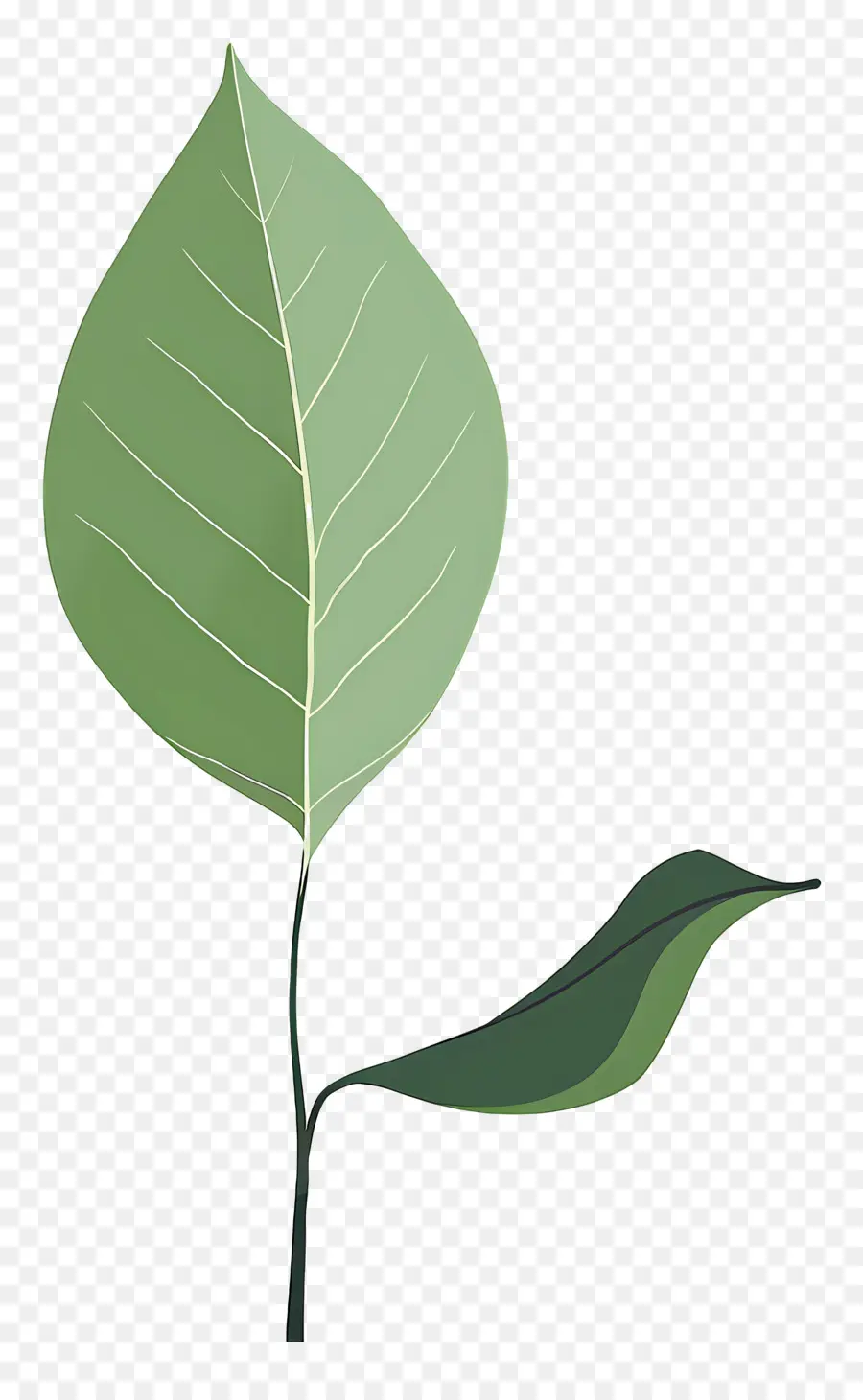 Verde Hoja，Hoja PNG