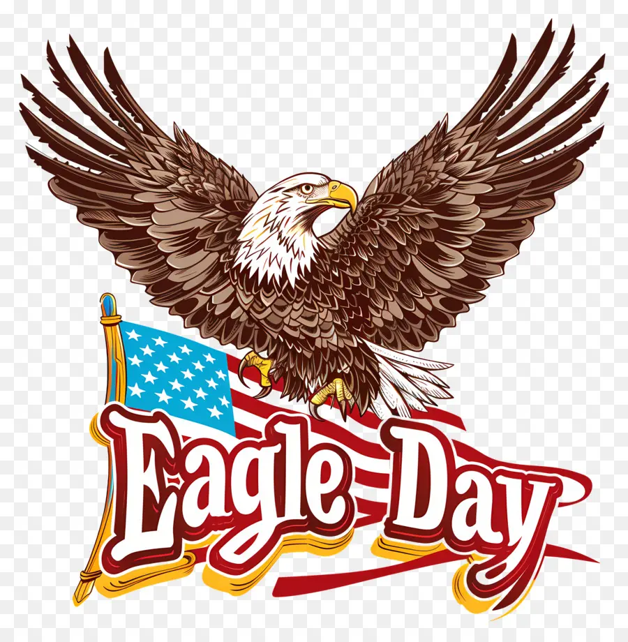American Eagle Día，águila PNG